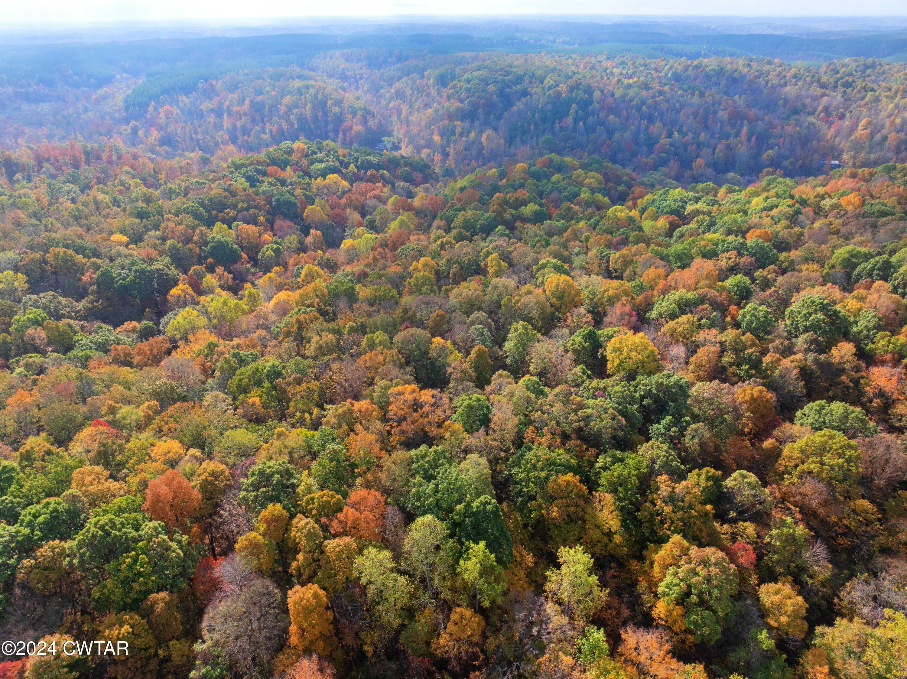 595 Anderson Road Linden, TN 37096 - Photo 15 of 33 DJI_20241030104626_0313_D