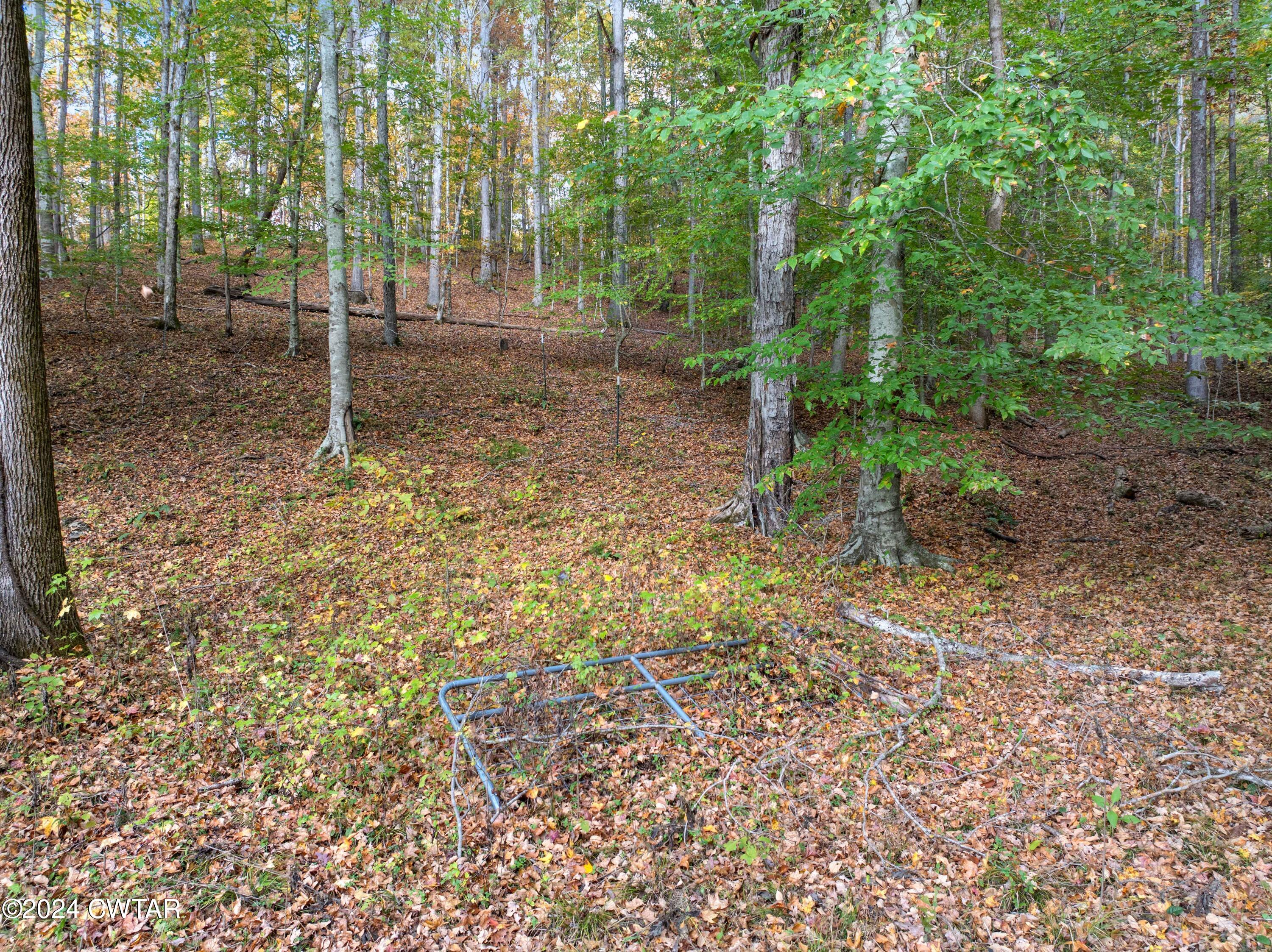 595 Anderson Road Linden, TN 37096 - Photo 20 of 33 DJI_20241030104941_0321_D