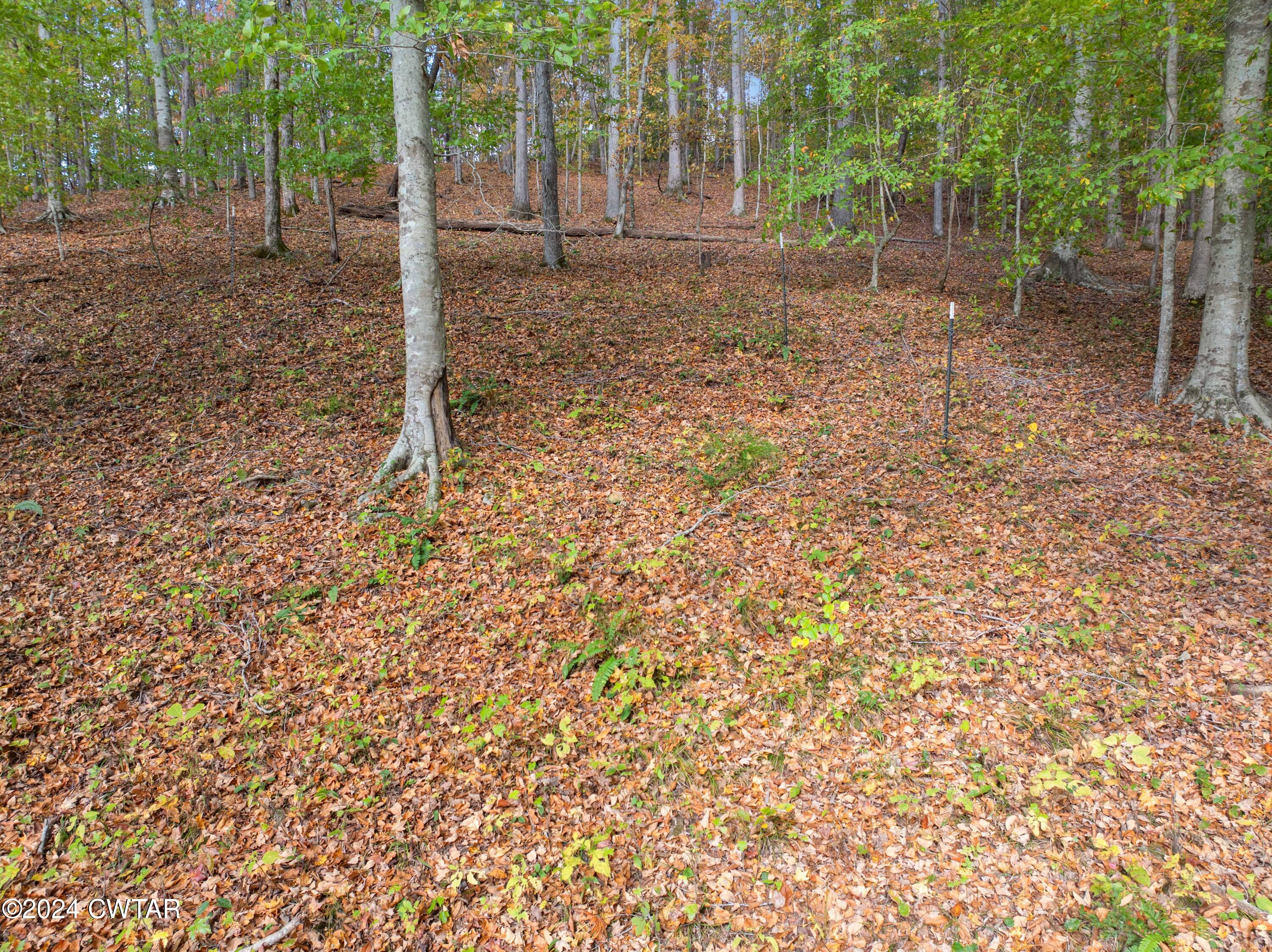 595 Anderson Road Linden, TN 37096 - Photo 21 of 33 DJI_20241030105005_0322_D