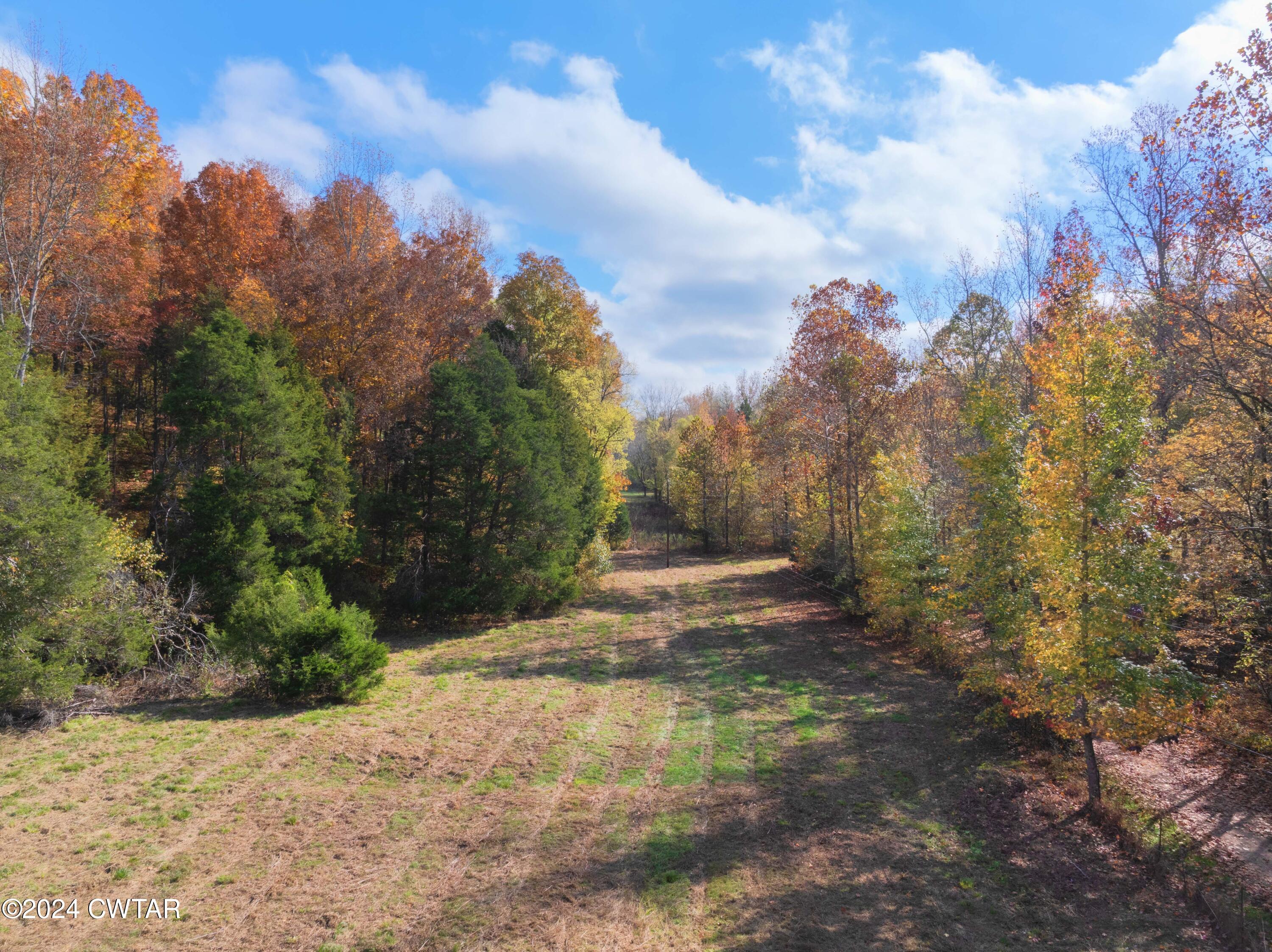 595 Anderson Road Linden, TN 37096 - Photo 24 of 33 DJI_20241030105346_0331_D