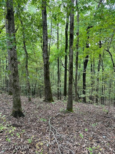595 Anderson Road Linden, TN 37096 - Photo 26 of 33 IMG_7369
