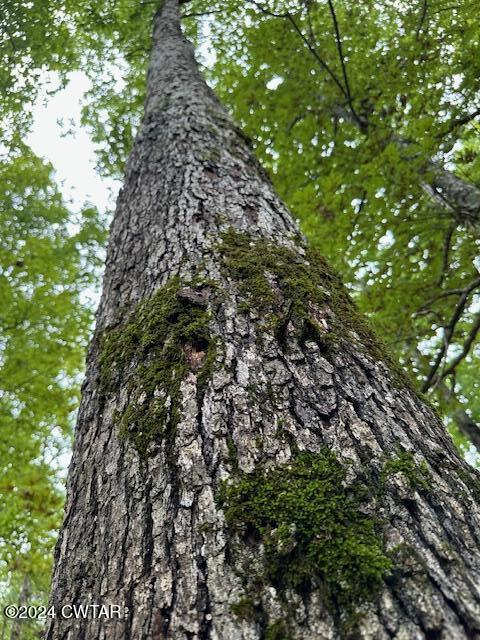 595 Anderson Road Linden, TN 37096 - Photo 27 of 33 IMG_7370