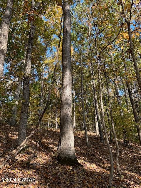 595 Anderson Road Linden, TN 37096 - Photo 30 of 33 IMG_7607