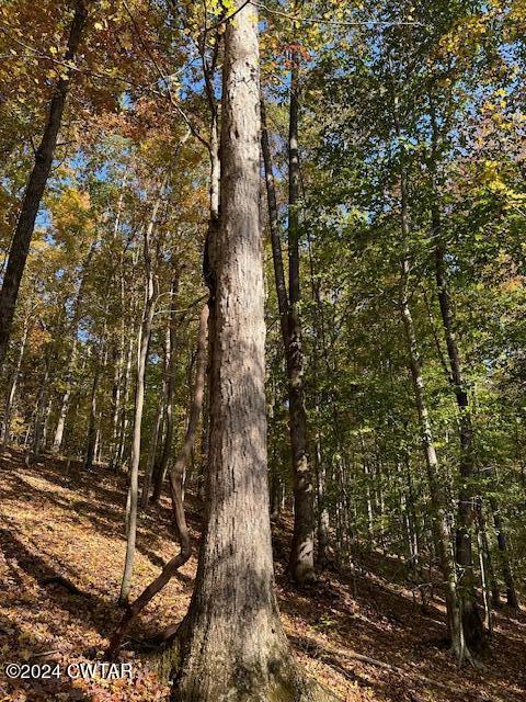 595 Anderson Road Linden, TN 37096 - Photo 3 of 33 IMG_7606