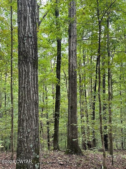 595 Anderson Road Linden, TN 37096 - Photo 5 of 33 IMG_7376