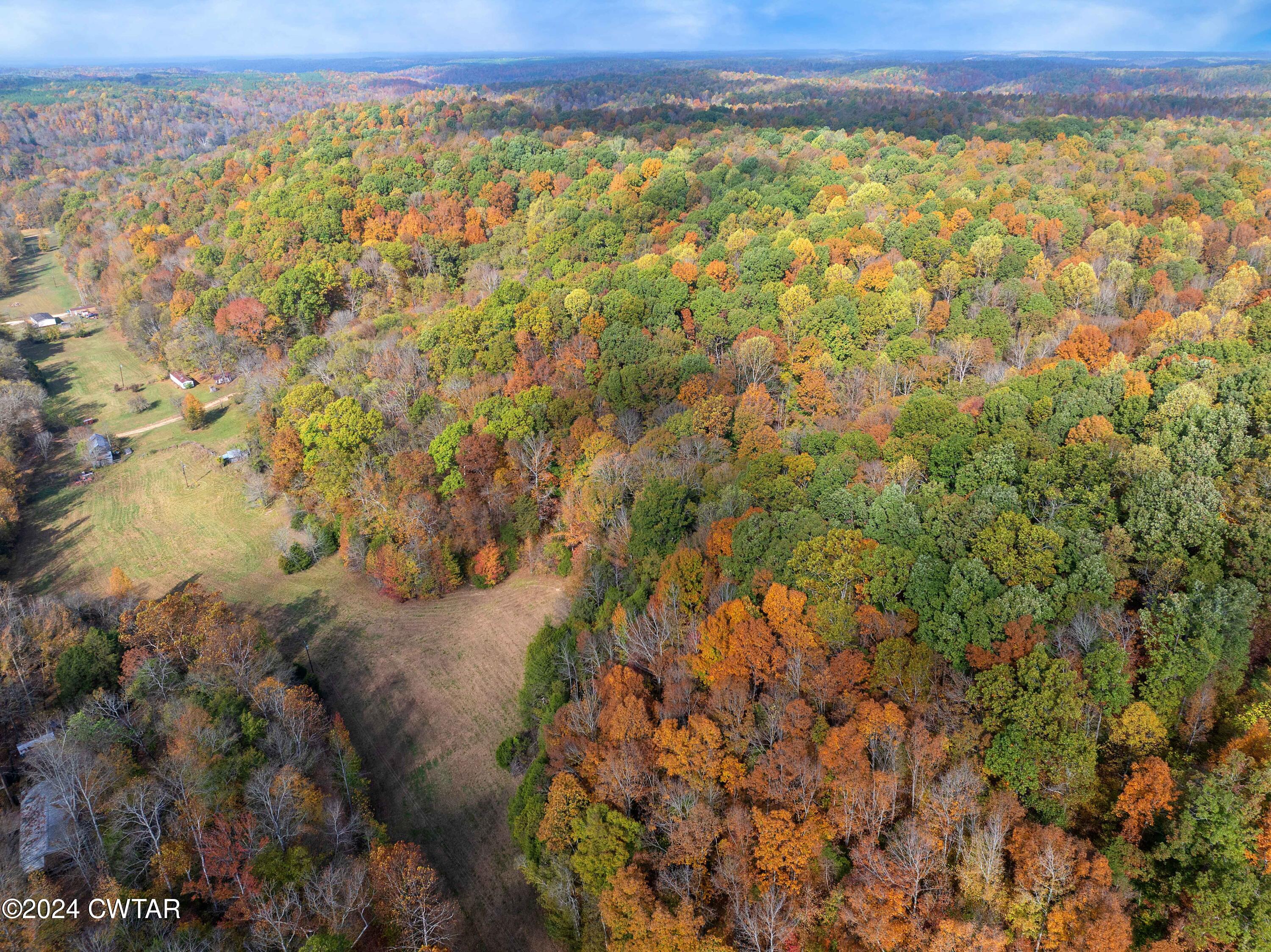 595 Anderson Road Linden, TN 37096 - Photo 6 of 33 DJI_20241030104832_0318_D