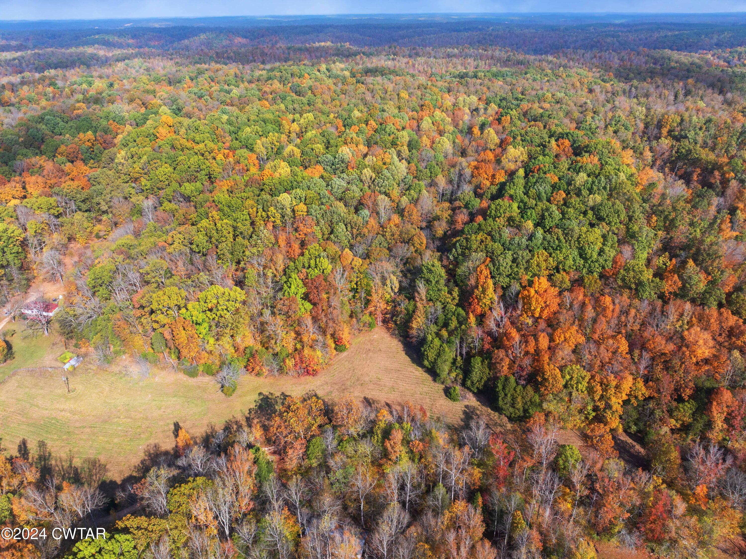 595 Anderson Road Linden, TN 37096 - Photo 10 of 33 DJI_20241030104456_0309_D
