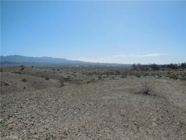 a view of a dry field with trees in background