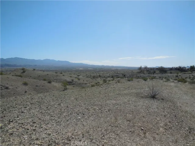 a view of a dry field with trees in background