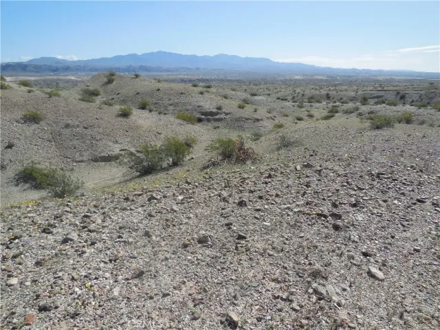 a view of a dry field with trees in the background