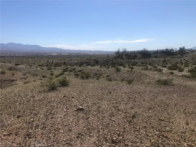 a view of a dry yard with trees in the background