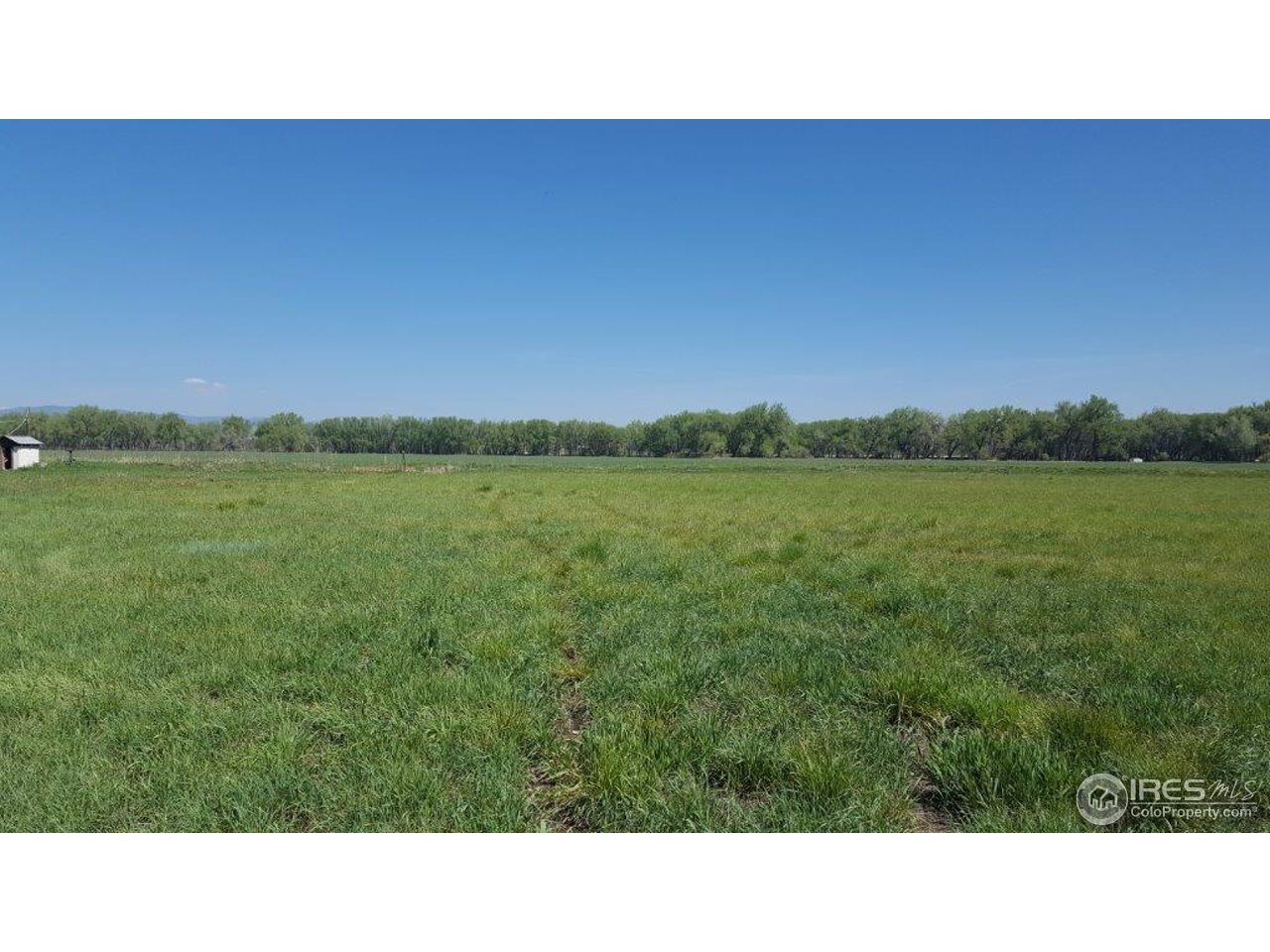 7581 Nimbus Road Longmont, CO 80503 - Photo 8 of 9 a open area with a yard in back