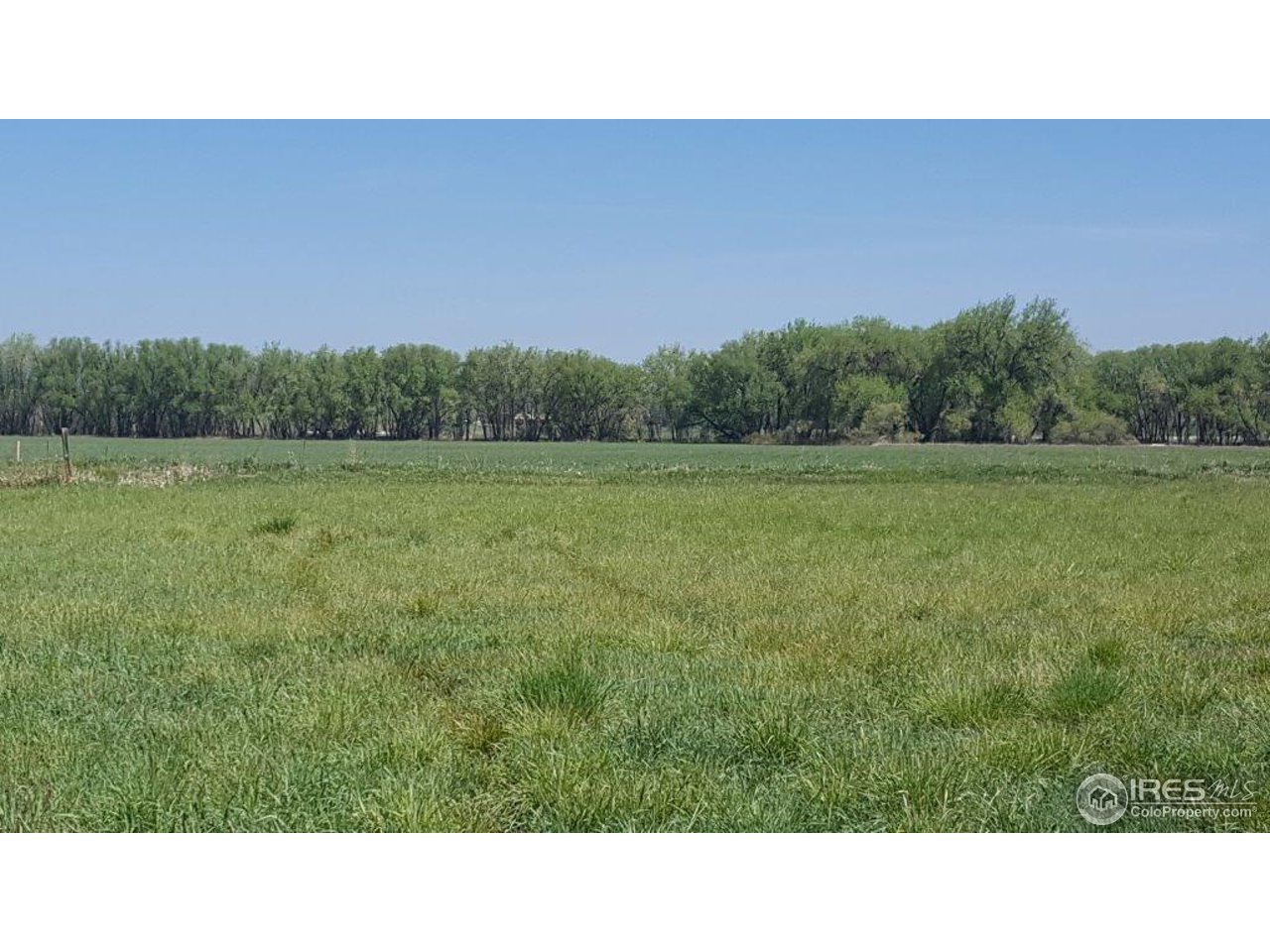 7581 Nimbus Road Longmont, CO 80503 - Photo 9 of 9 a black and white photo of a field