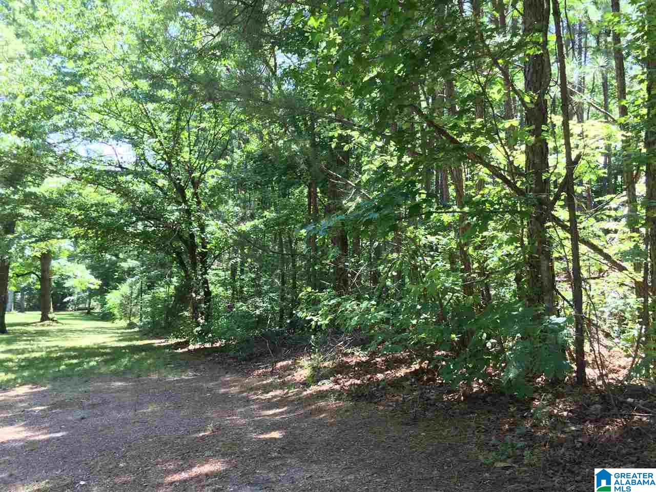 3901 Dean Road, Unit 5 ACRES Pinson, AL 35126 - Photo 5 of 25