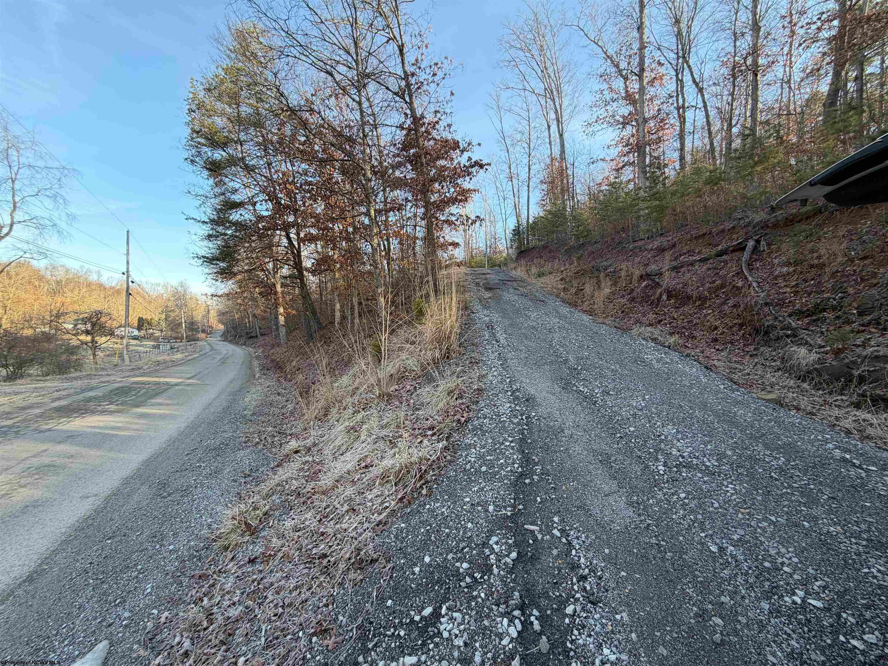 796 Bear Run Road Cairo, WV 26337 - Photo 2 of 46 Gallery Image 2