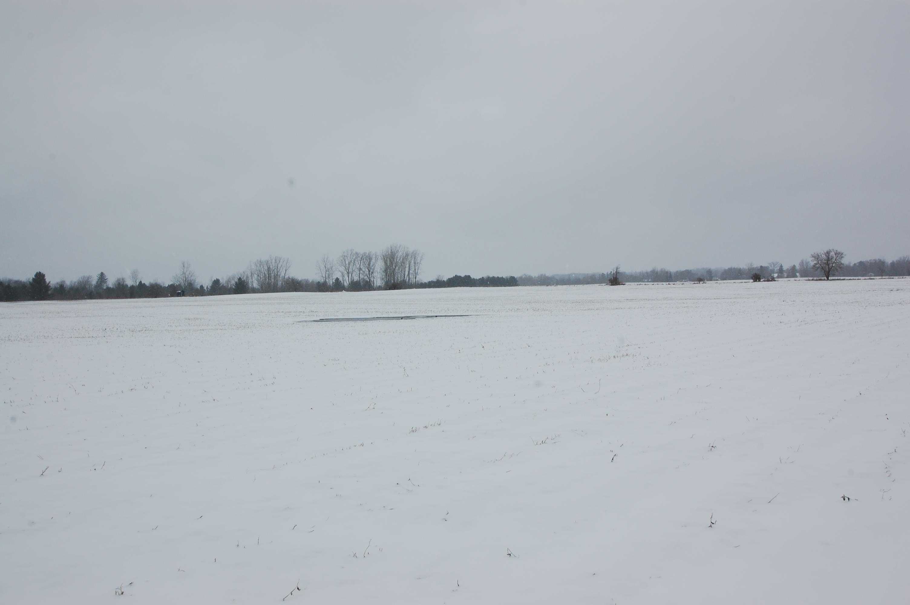 0 Sage Lake Road Prescott, MI 48756 - Photo 5 of 5