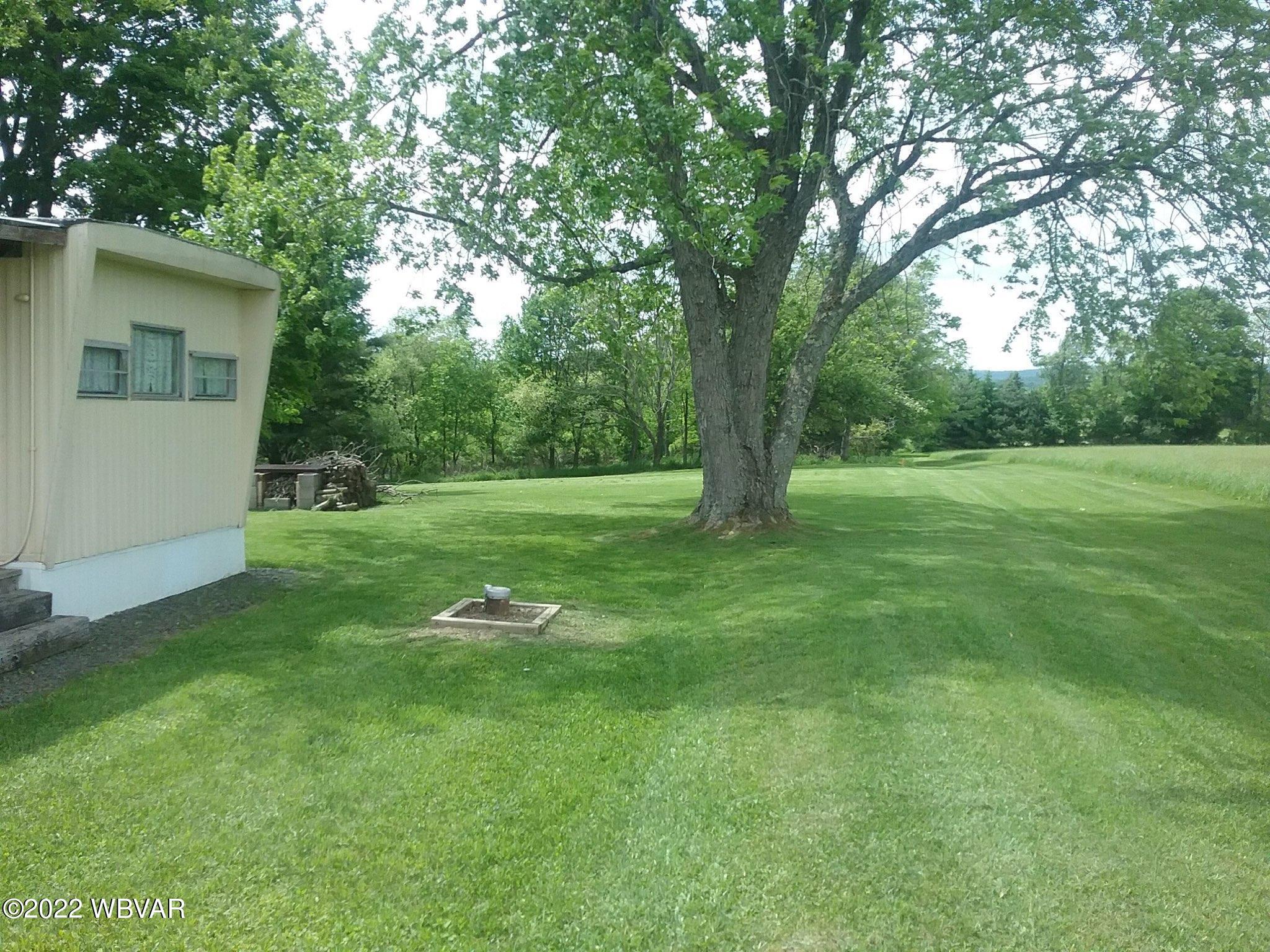 673 McCarty Ridge Road Forksville, PA 18616 - Photo 5 of 16 Gallery Image 5