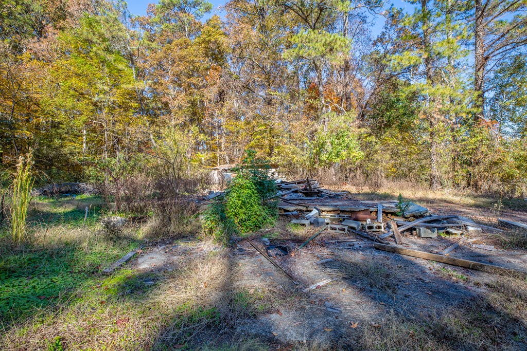 685 Goswick Road Chatsworth, GA 30705 - Photo 20 of 43 Gallery Image 20