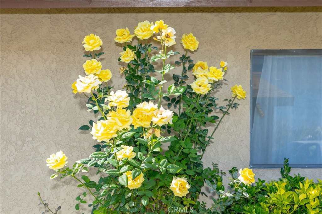 29350 Murrieta Road Menifee, CA 92586 - Photo 4 of 25