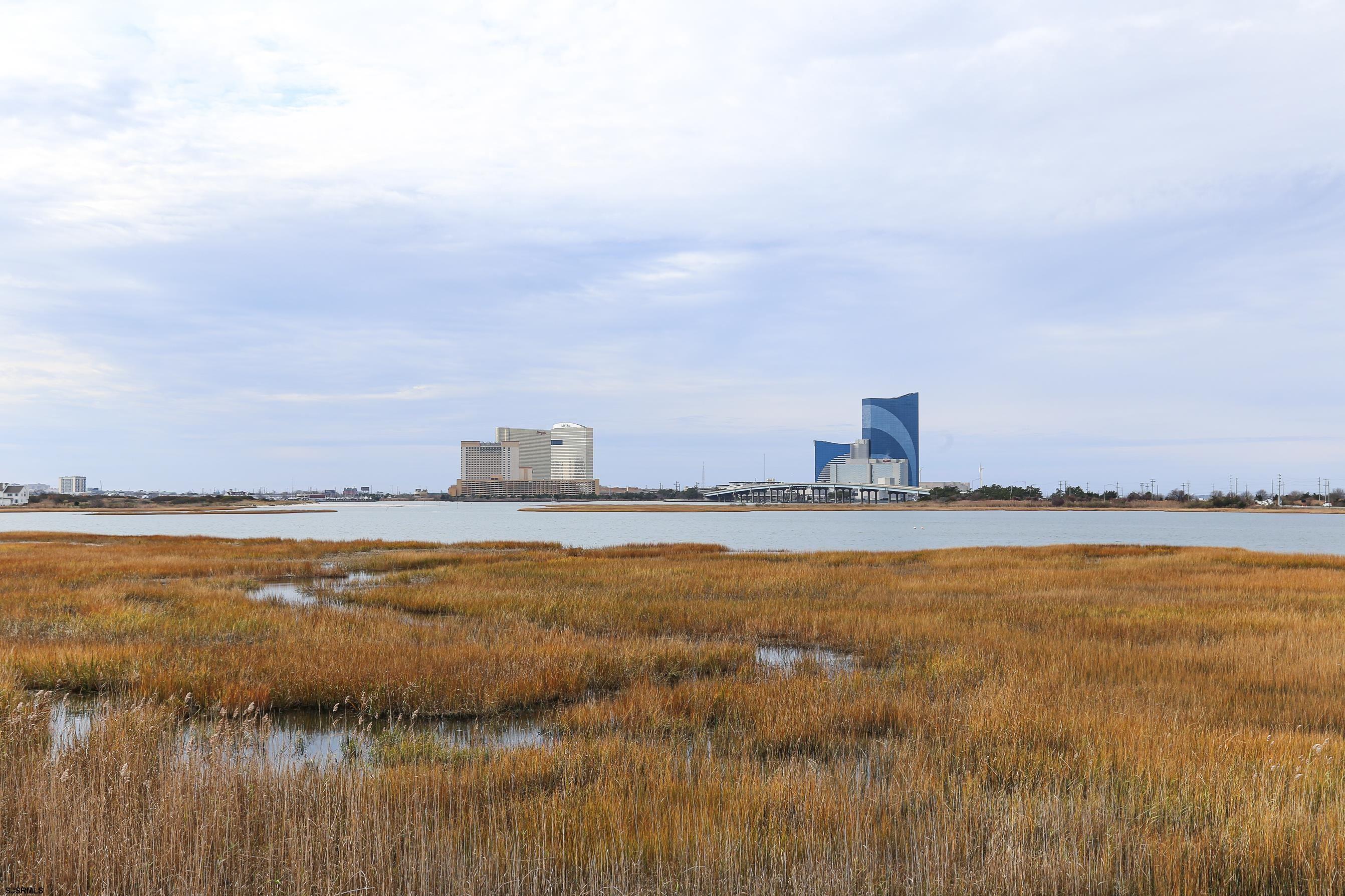 12 Gull Cove Brigantine, NJ 08203 - Photo 48 of 50