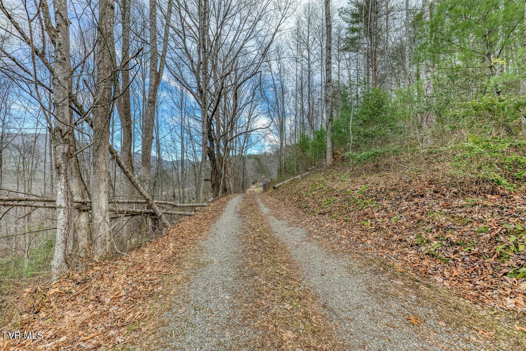 902 R D Campbell Road Butler, TN 37640 - Photo 8 of 18 20251222225338909360000000-o