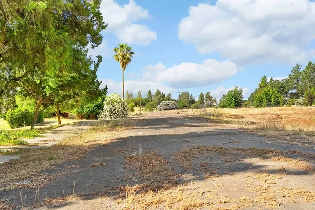 a view of road with trees