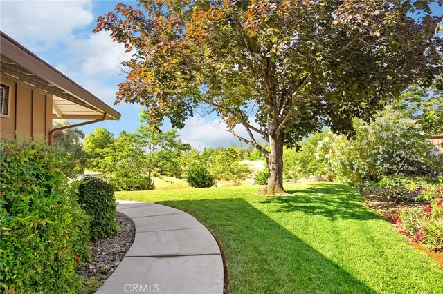 a view of yard with green space