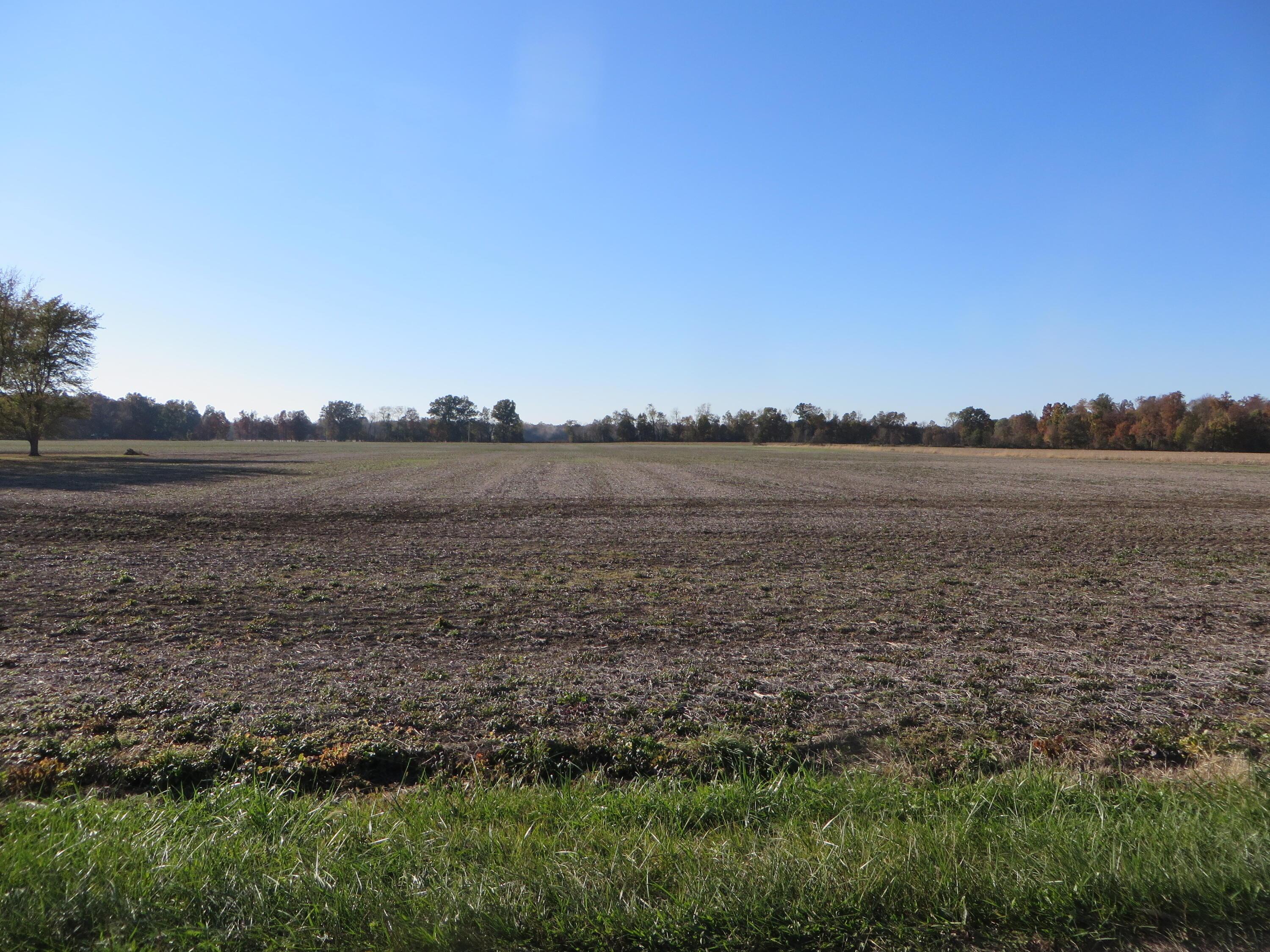 0 Longshore Road Sunbury, OH 43074 - Photo 1 of 2 IMG_1298