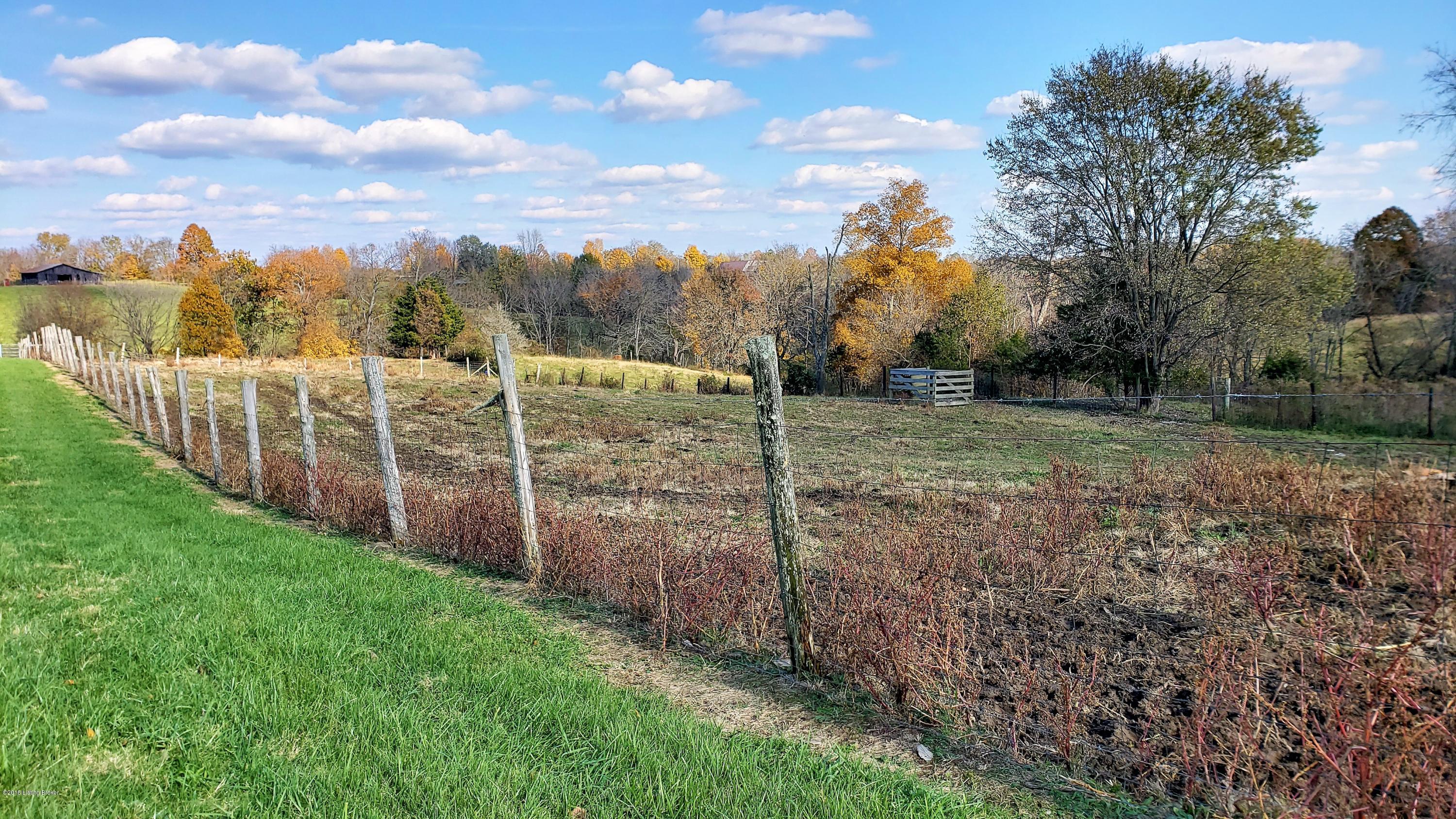 8298 Vigo Road Bagdad, KY 40003 - Photo 3 of 57 01 FRONT PASTURE