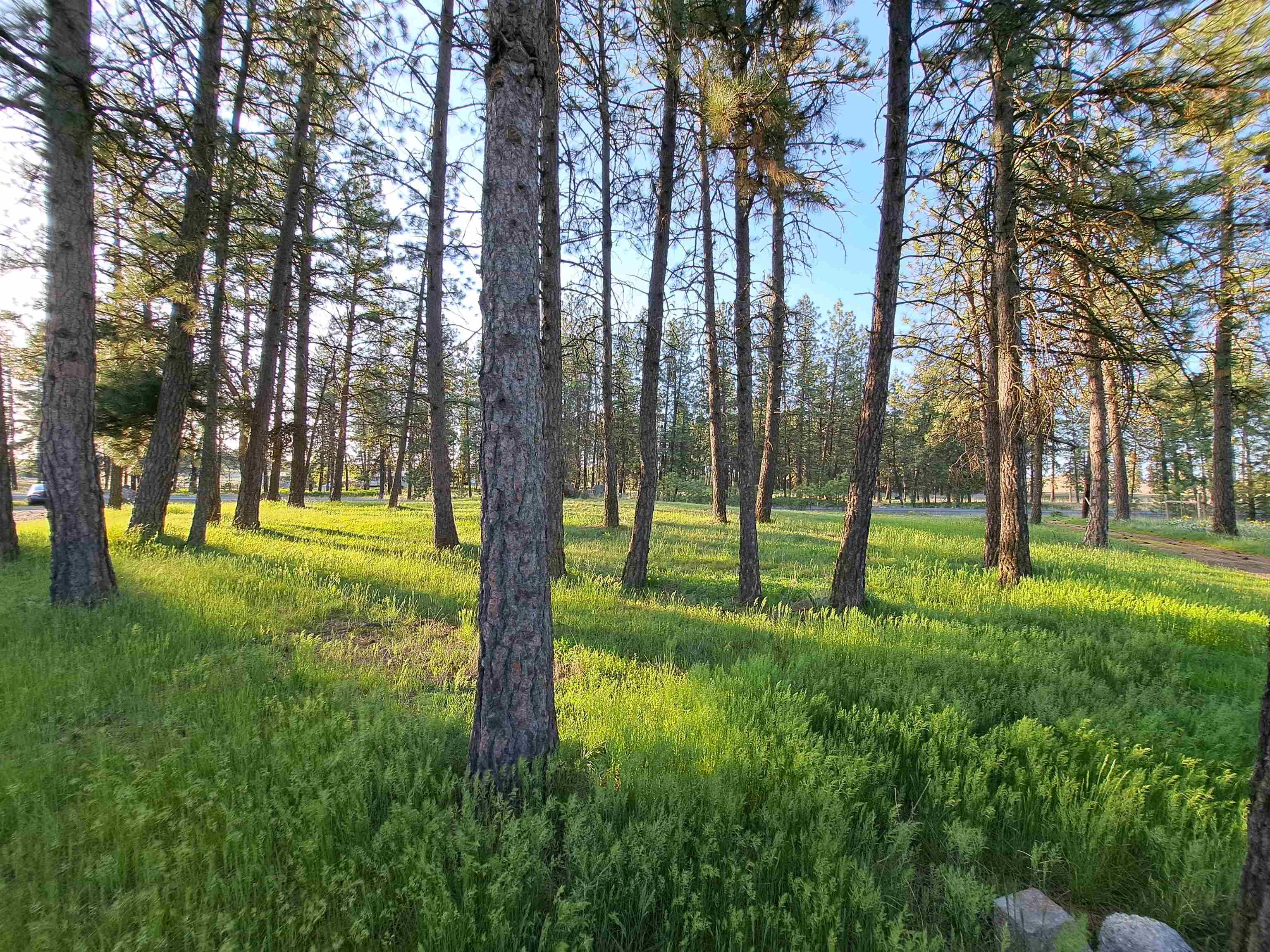 14313 Highway 904 Cheney, WA 99004 - Photo 37 of 49