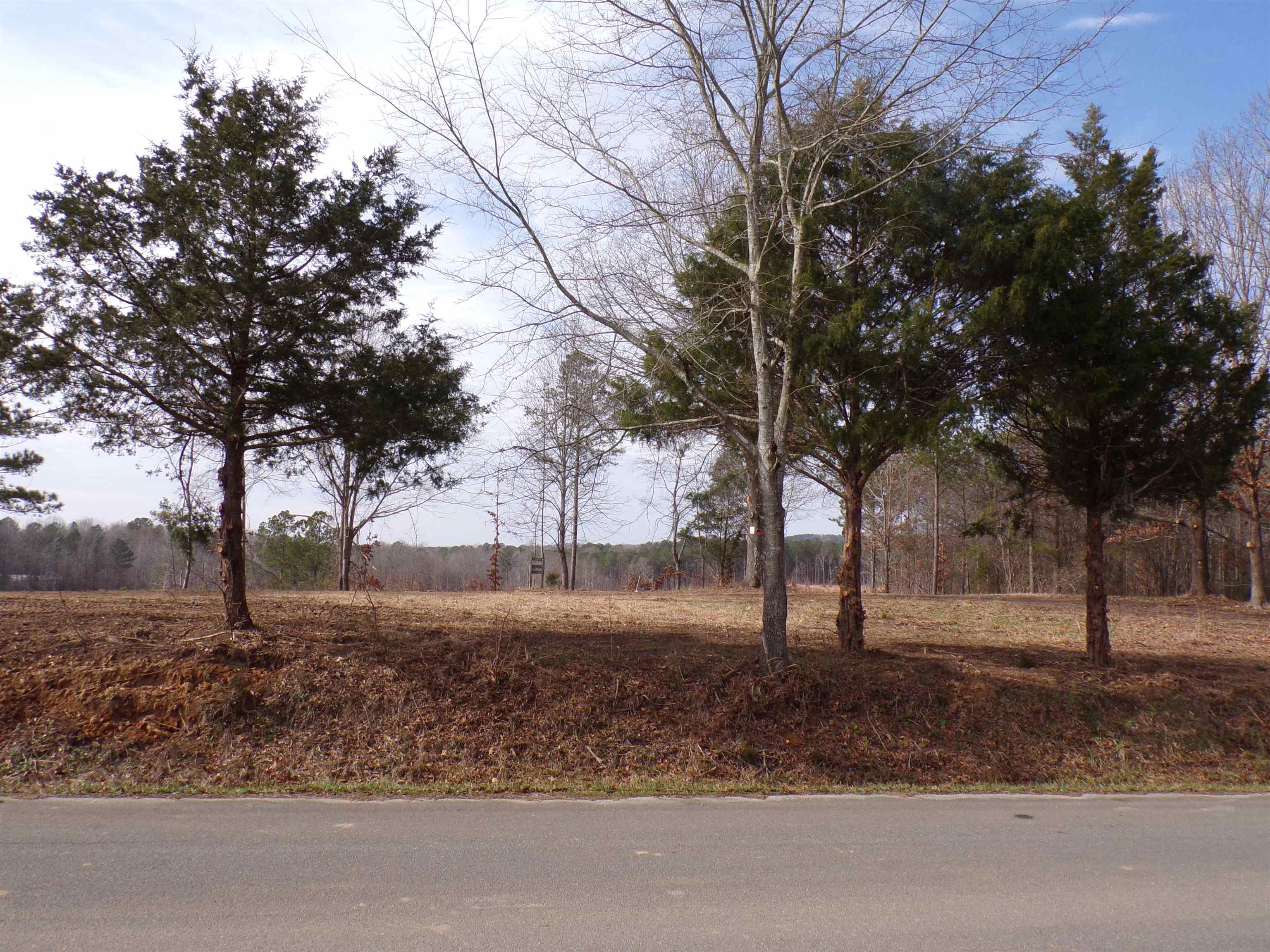 23 Cr 237 Road Iuka, MS 38852 - Photo 1 of 7 View of road