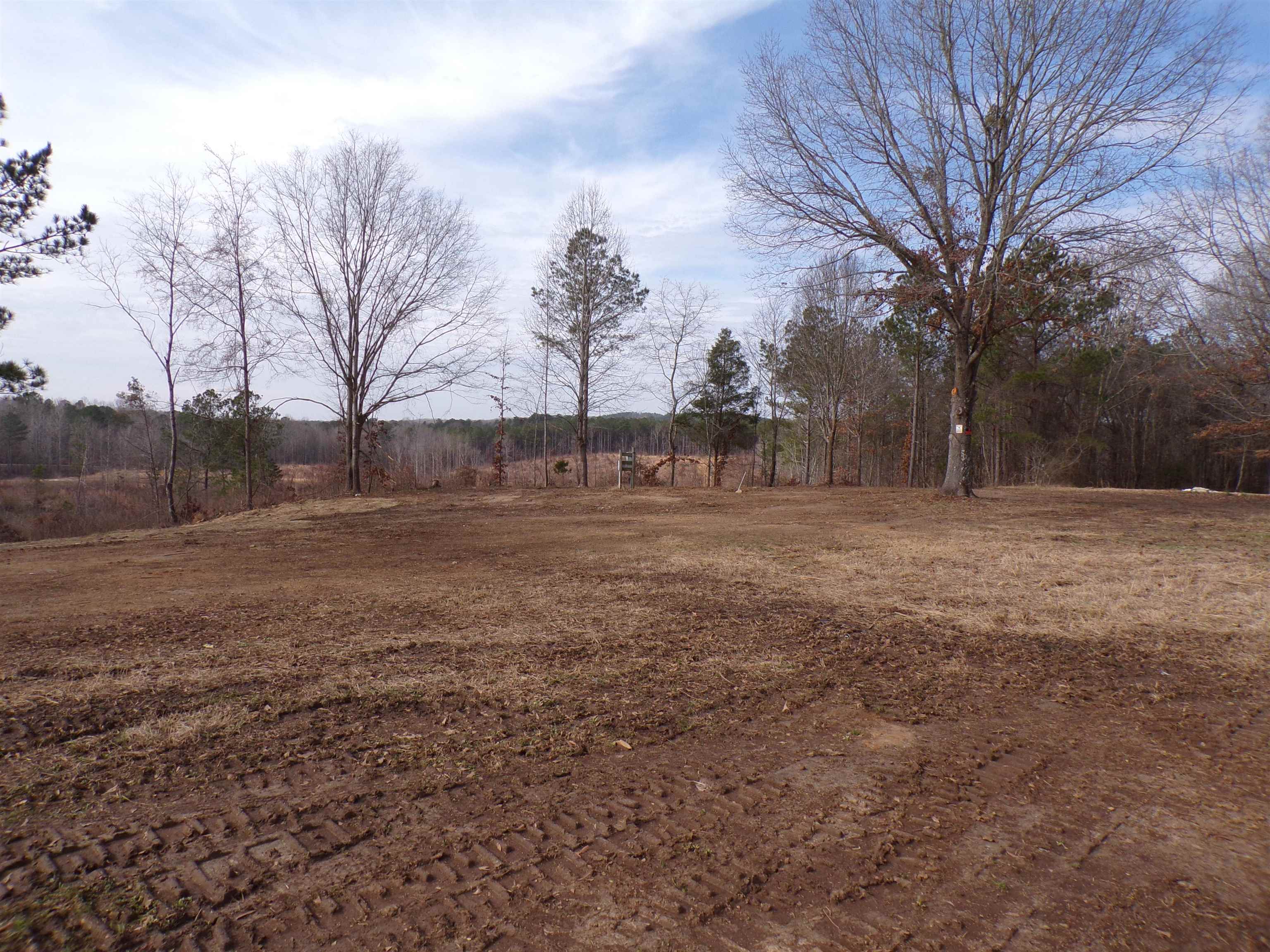 23 Cr 237 Road Iuka, MS 38852 - Photo 3 of 7 View of yard with a rural view