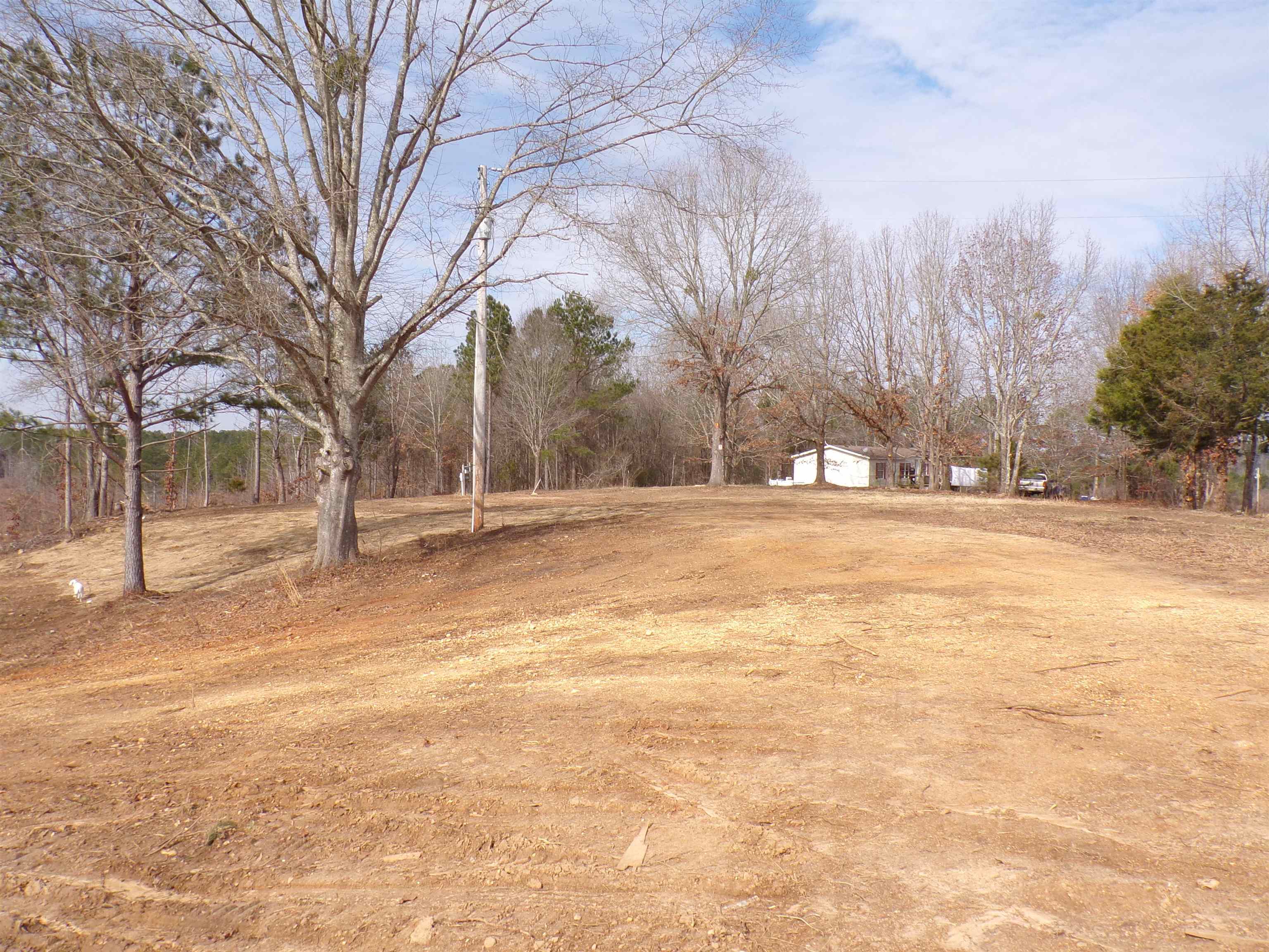23 Cr 237 Road Iuka, MS 38852 - Photo 5 of 7 View of yard