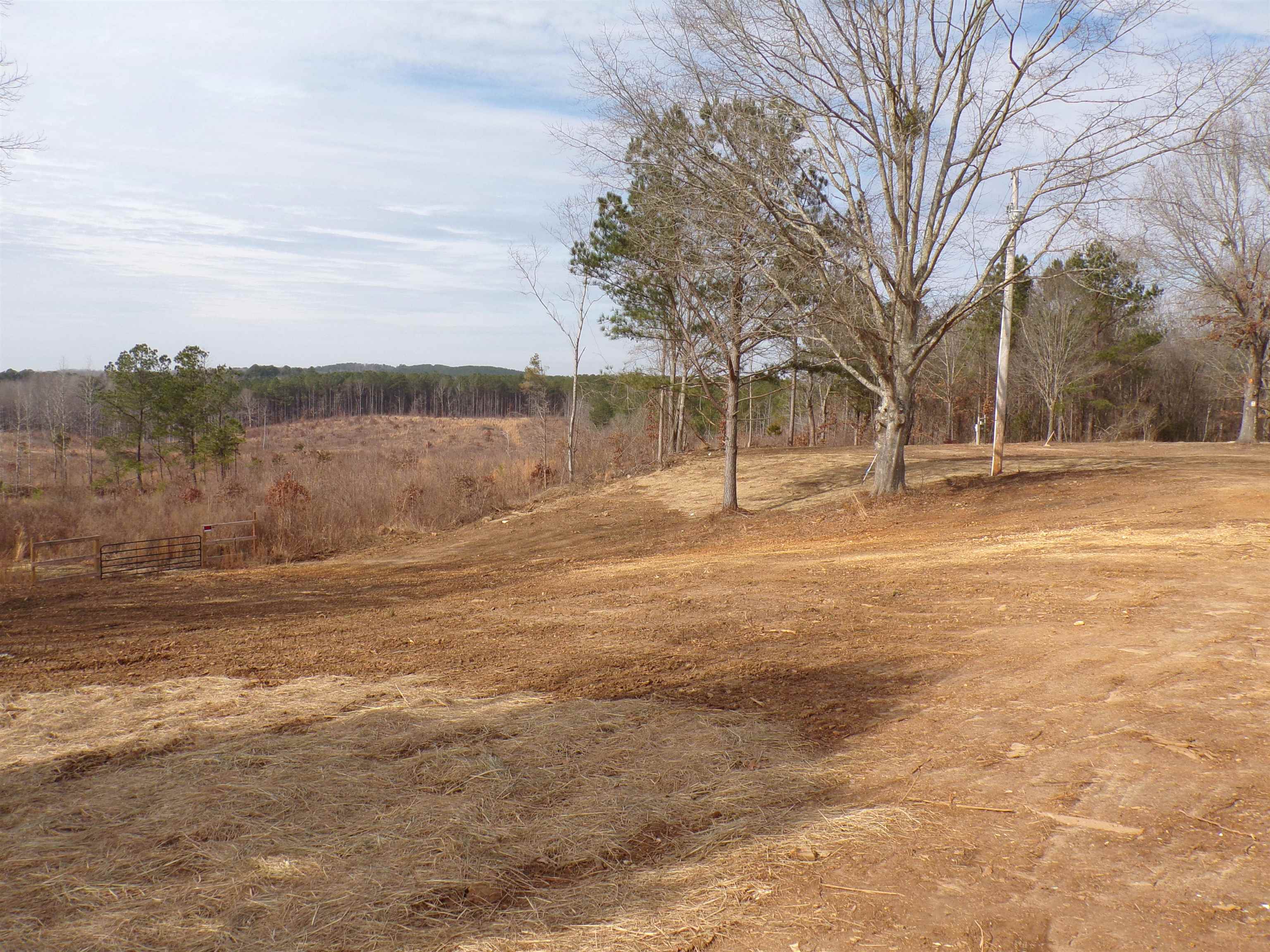 23 Cr 237 Road Iuka, MS 38852 - Photo 6 of 7 View of yard featuring a rural view