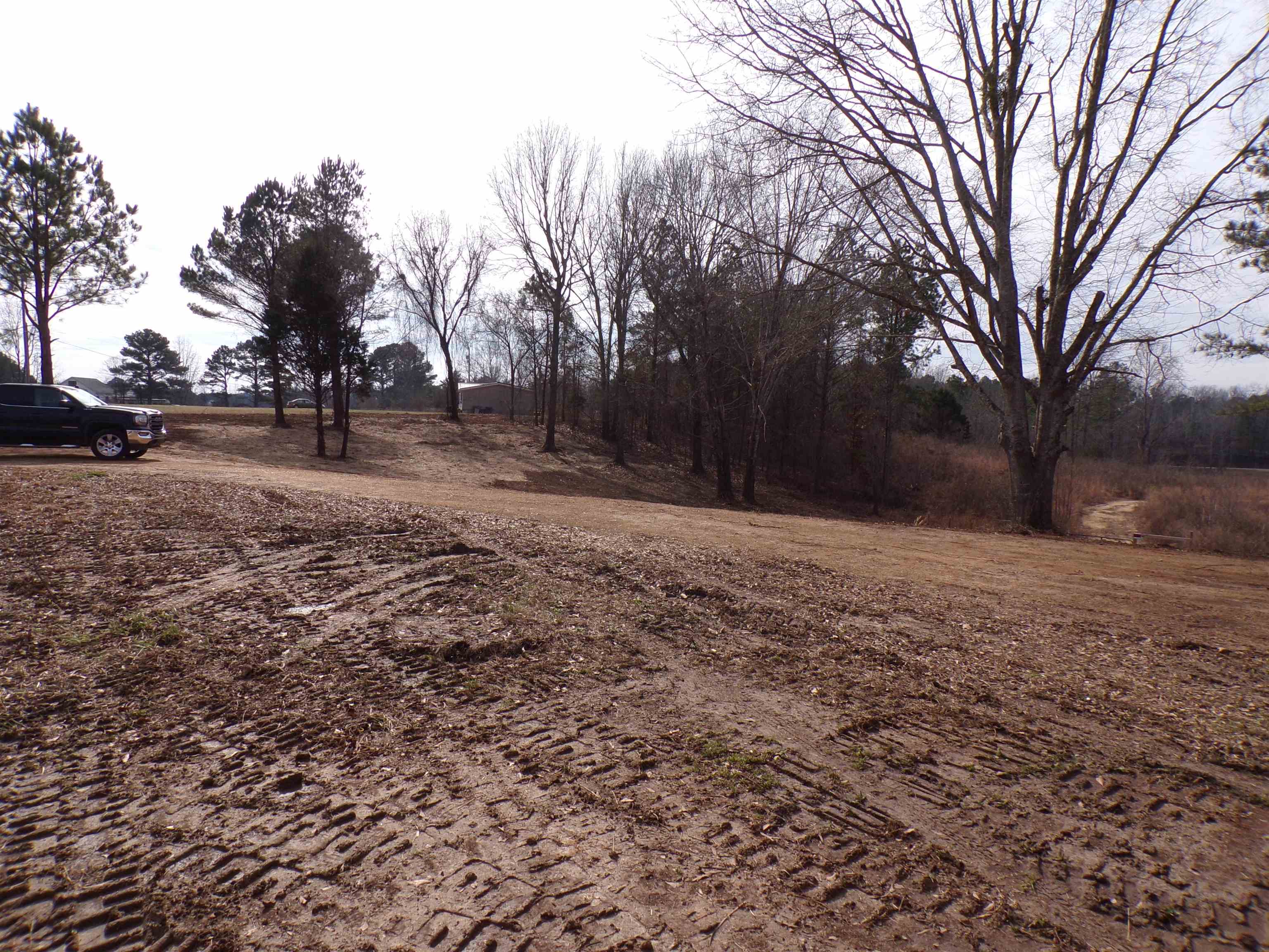 23 Cr 237 Road Iuka, MS 38852 - Photo 7 of 7 View of yard