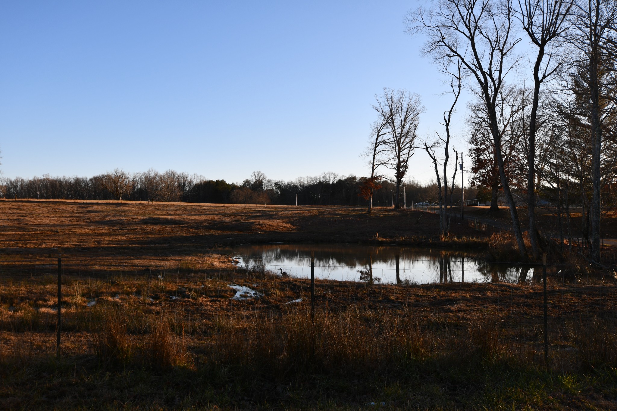 632 Tram Road Tracy City, TN 37387 - Photo 36 of 46 Gallery Image 36