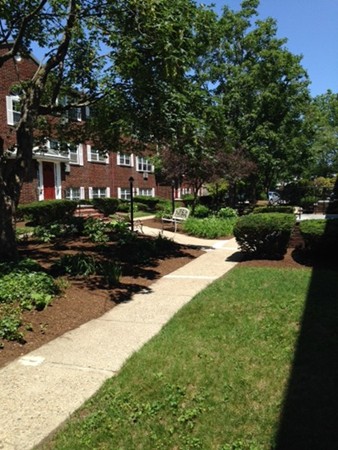 15 Cass Street, Unit 3 Boston, MA 02132 - Photo 2 of 3 a view of a park with large trees