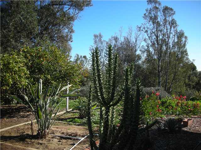 1759 Vía Entrada Fallbrook, CA 92028 - Photo 25 of 25 Gallery Image 25