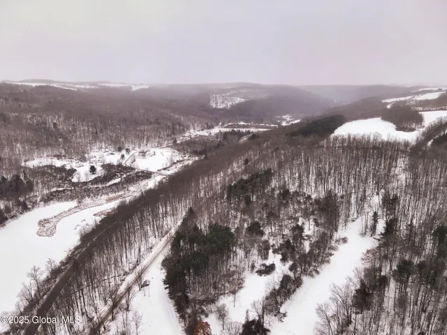 $39,500 | L7 Harrison Road, Bath, NY 14810