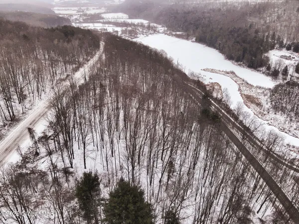 $39,500 | L7 Harrison Road, Bath, NY 14810