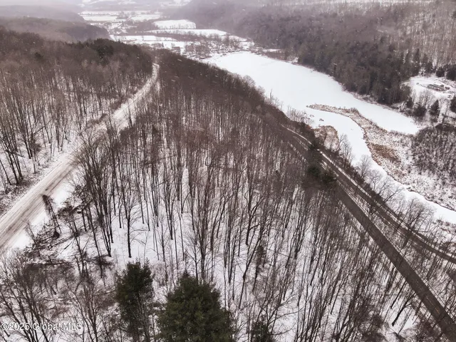 $39,500 | L7 Harrison Road, Bath, NY 14810