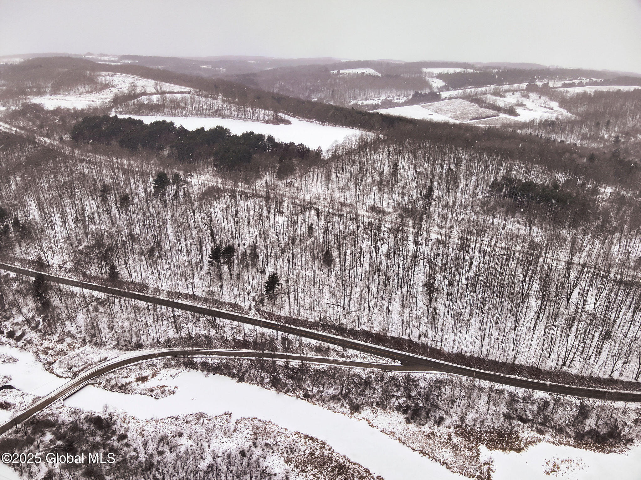 L7 Harrison Road Bath, NY 14810 - Photo 7 of 11 A7