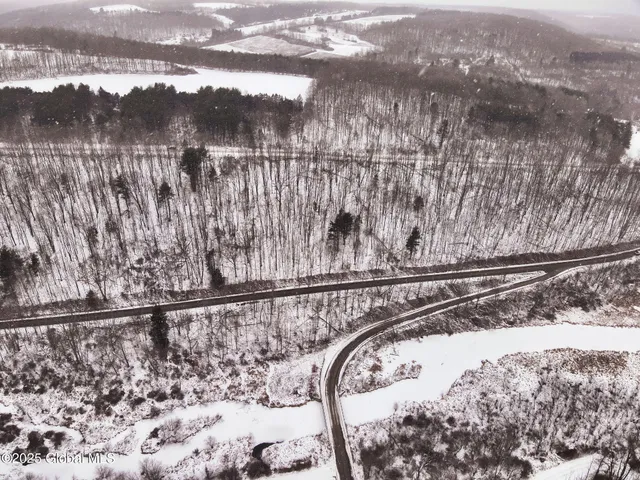 $39,500 | L7 Harrison Road, Bath, NY 14810