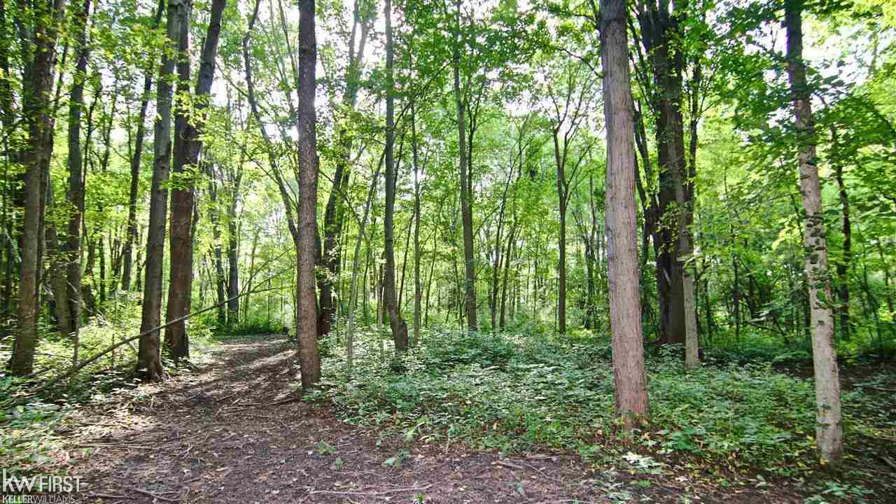 9150 Elms Road Clio, MI 48420 - Photo 8 of 20
