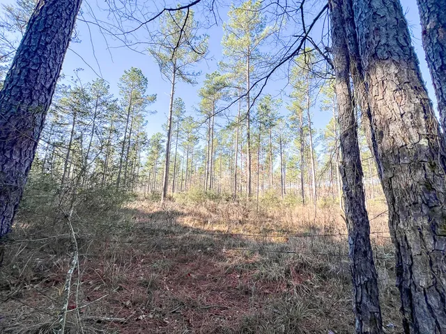 $425,000 | 2 Louisville Road, Pennington, TX 75856