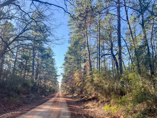 $425,000 | 2 Louisville Road, Pennington, TX 75856