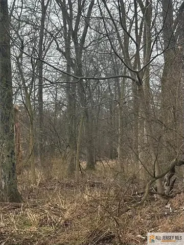 a view of a yard with large trees