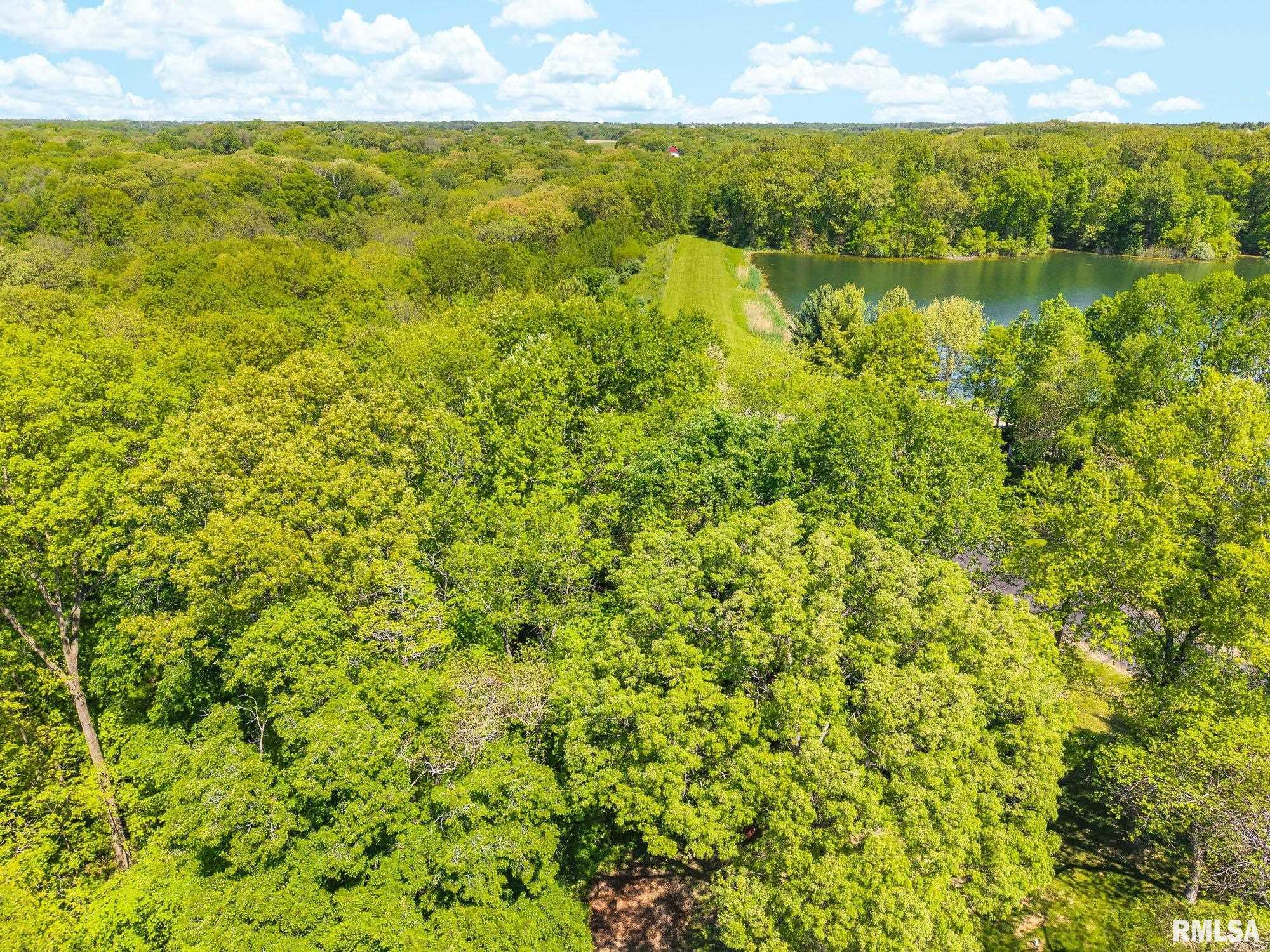 South Walnut Point Drive Mapleton, IL 61547 - Photo 12 of 48