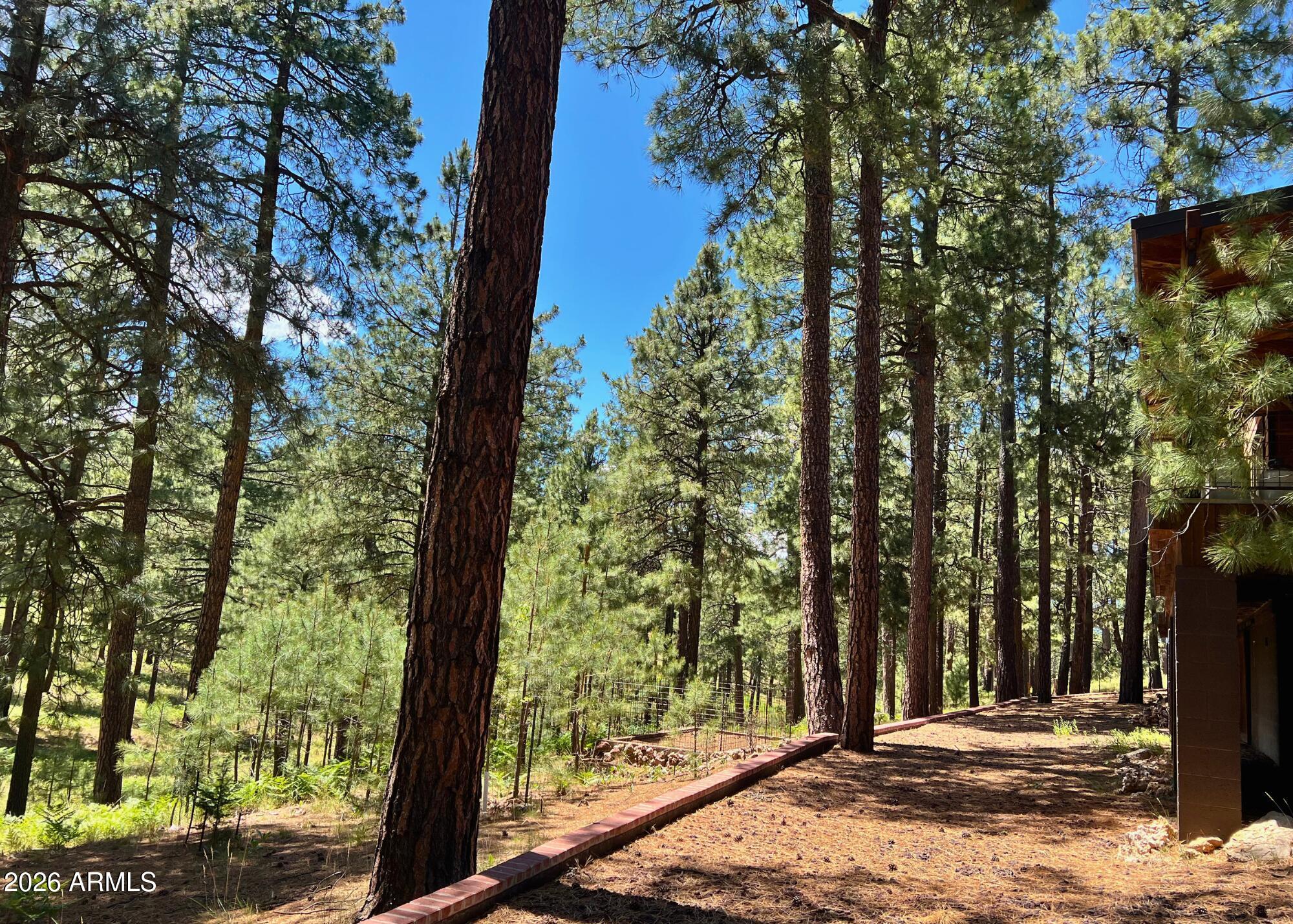 2367 Ryan Ranch Loop Forest Lakes, AZ 85931 - Photo 70 of 70