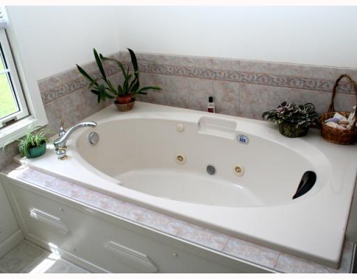 259 Barrell Valley Road Spring Church, PA 15686 - Photo 9 of 18 Master Bath/Spa.